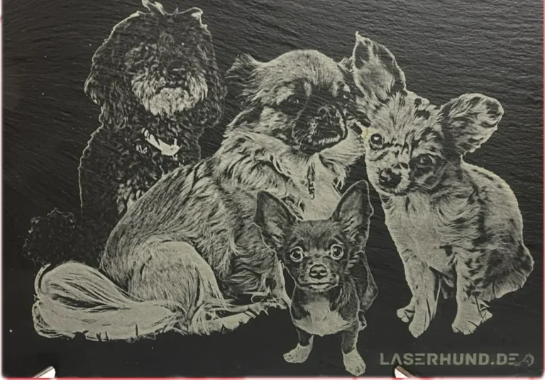 Gedenktafel für Tiere auf Schiefer Kreative Lasergravur auf Schiefer Vier niedliche Hunde verschiedener Rassen in einem gestapelten Arrangement.